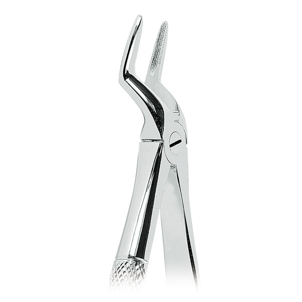 51A FORCEPS RAICES SUPERIORES