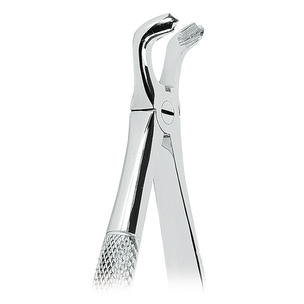 79 FORCEPS CORDALES INFERIORES