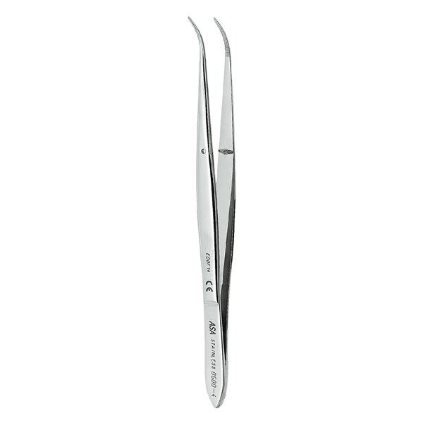 PINZA ALGODON PERRY