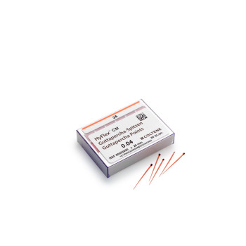 HYFLEX CM GUTTAPERCHA 04 N.40  60und.