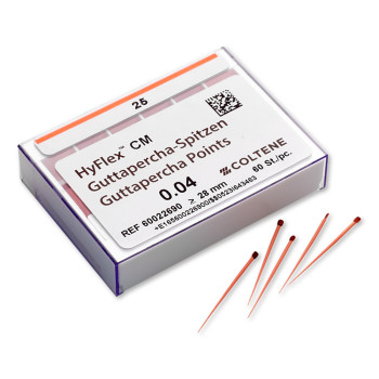 HYFLEX CM GUTTAPERCHA 04 N.30  60und.