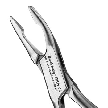 RKN PINZA GUBIA KRANER-NEVINS