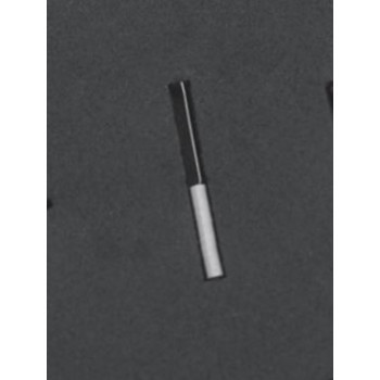 LIMPIADOR BOQUILLA INTENSIV SWINGLE REF.054