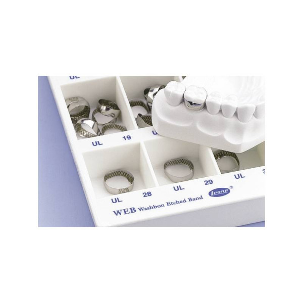 LE8530-26 BANDAS ANAT.WEB ROTH SUP.IZQ.N.26 5u.