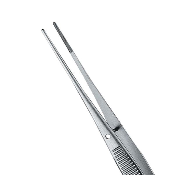 158-031 PINZA N.31 ANATOMICO RECTO 12,5cm
