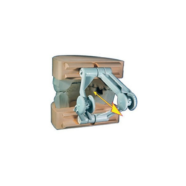 BLOQUEADOR VERTICAL ORBIX 2u.
