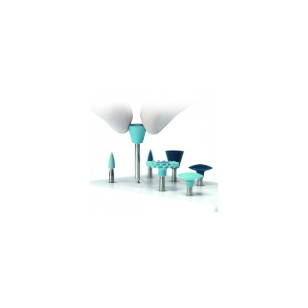 OPTRAGLOSS REP. LLAMA PP